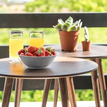 Seka's Family Сплит